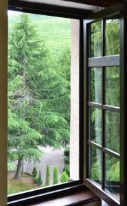 a window with a view of a tree at Hotel St. Naum in Ljubaništa