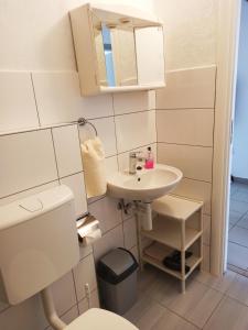 mała łazienka z umywalką i toaletą w obiekcie Apartments Sonija w mieście Gdinj