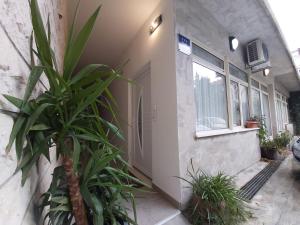 Zahrada ubytování Guest House Adriatic