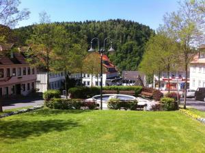 a park in a town with a mountain in the background at Historisches Hotel Rathaus in Lautenthal