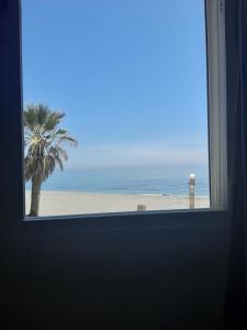 ネルハにあるPlaya Torecilla Beachfrontの椰子の木があるビーチの景色を望む窓