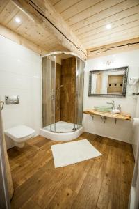 a bathroom with a shower and a toilet and a sink at Domki Narciarskie Zakopane in Zakopane