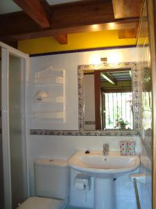 Un baño con lavabo, inodoro y espejo. en Apartamentos La Huerta de la Torre, en Cangas de Onís