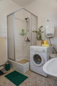 pralka w łazience z prysznicem w obiekcie Vorstadt-Appartement Haus Monika w mieście Äußere Ragnitz
