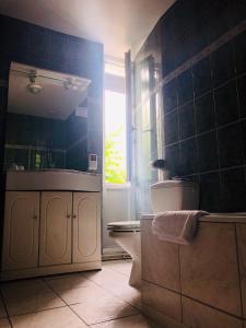 ein Bad mit einem WC, einem Waschbecken und einem Fenster in der Unterkunft Le Grand Hôtel in Souillac