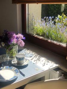 un rebord de fenêtre avec une table avec une tasse et des fleurs dans l'établissement Appartement 1 Baltic, à Bergen auf Rügen