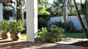 a patio with two potted trees in a yard at Be My Guest Lodge in Bloubergstrand