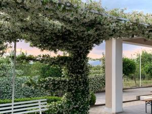 サンターガタ・デ・ゴーティにあるGinger Houseの白い花のアーチの横に白いベンチ