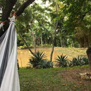 a towel hanging from a tree in front of a pond at Pousada Rancho Flores in Caeté