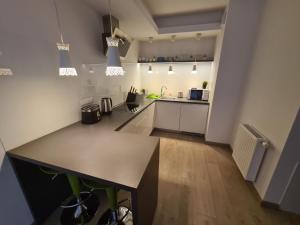 a kitchen with a large island in a room at Wielicka Apartment in Krakow