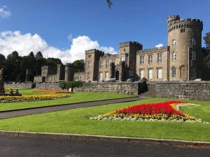 een kasteel met een bos bloemen ervoor bij Rj s house in Merthyr Tydfil