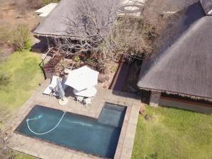 uma vista superior de uma piscina num quintal em Call of the Wild Lodge em Hoedspruit