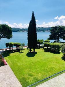 um parque verde com uma árvore e água ao fundo em Appartamento direttamente a lago - Ben Approved em Salò