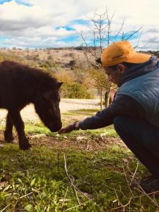 a woman is petting a small black animal at B&B Badde Cubas in Usini