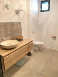 a bathroom with a sink and a toilet at Villa Nymphea in Saint-Pierre-dʼAutils