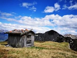 Náttúran í nágrenni íbúðarinnar