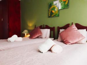 1 dormitorio con 2 camas y almohadas rosas y blancas en Dullstroom on the Dam en Dullstroom