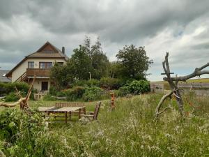 un jardín con una mesa de picnic y una casa en Ferienwohnung Stockrose, en Middelhagen