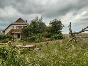 a garden with a picnic table and a house at Ferienwohnung Stockrose in Middelhagen