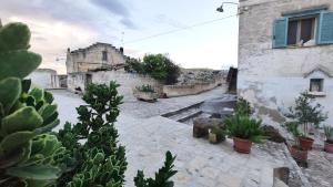 a courtyard with cacti and plants in a building at Il Geco in Matera