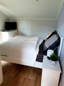 um quarto com uma cama e uma secretária com uma televisão em Oberland-Ferienwohnung em Unterammergau