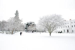 a person standing in the snow with a snowboard at De Vere Beaumont Estate in Windsor