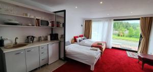 1 dormitorio con cama, lavabo y ventana en Modern rooms Colibita, en Colibiţa