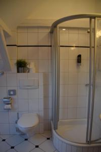 a bathroom with a toilet and a shower at Landgasthof Hüttenschenke in Kirchen