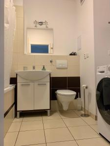 La salle de bains est pourvue de toilettes, d'un lavabo et d'un miroir. dans l'établissement The Elegant Luxury Apartment - Boru, à Banská Bystrica