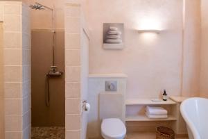 a bathroom with a shower and a toilet and a sink at Mas De Rosemarie in Joucas