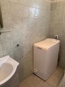 a small bathroom with a sink and a toilet at Greenapple Apartman Badacsony in Badacsonytördemic +33 photos