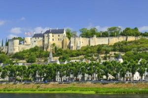 a large castle on top of a hill with trees at La petite maison 3 in Avoine