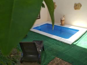 een zwembad in een kamer met een plant bij Casa Rural "Los Aperos" in Herrera del Duque