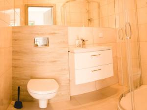 a bathroom with a toilet and a shower at Borowik Milicz in Milicz