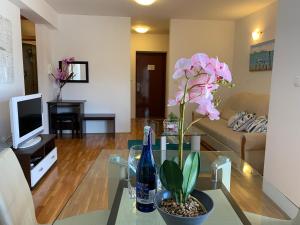 Gallery image of Apartments Villa Plaza in Trogir