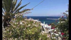 a palm tree and flowers with a ship in the water at Rania Apartments Sea View in Mikonos