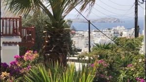 a palm tree in a garden with flowers at Rania Apartments Sea View in Mikonos