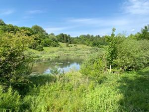 Paesaggio naturale nelle vicinanze della casa vacanze