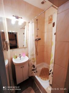 リヴィウにあるLviv Rest Zelenaのバスルーム(シャワー、洗面台、トイレ付)