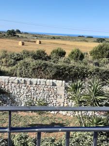un muro di pietra accanto a un campo di fieno di Agriturismo La Palascìa Masseria Agreste a Otranto