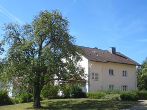 a tree in front of a white house at Gästehaus Erika in Tengen