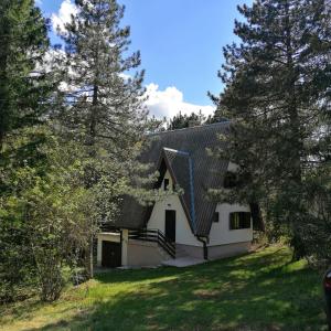 茲拉蒂博爾的住宿－Kuća za odmor Arsenijević，一座有金属屋顶和一些树木的房子