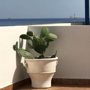 Vista generica sul mare o vista sul mare dall'interno dell'appartamento
