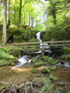 een houten brug over een kreek met een waterval bij Waldgasthof Altersbach in Waldkirch