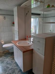ein Badezimmer mit Waschbecken und Toilette in der Unterkunft Familienfreundliche Ferienwohnung in Zschorlau
