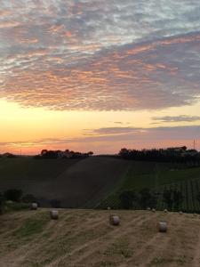 Ảnh trong thư viện ảnh của Agriturismo bio Verde Armonia ở Montemarciano