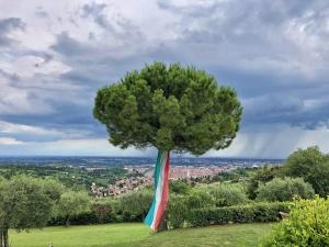 a tree with a flag on top of a field at Corte San Mattia in Verona