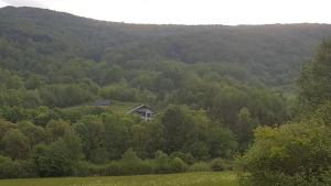 a house in the middle of a forest of trees at Marzeniec w Beskidzie Niskim in Wapienne