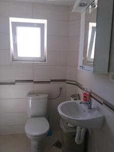 a bathroom with a toilet and a sink at Apartments Mirković in Cetinje +71 photos