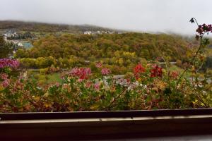 Gambar di galeri bagi Hotel Belvedere di Roccaraso +72 gambar
